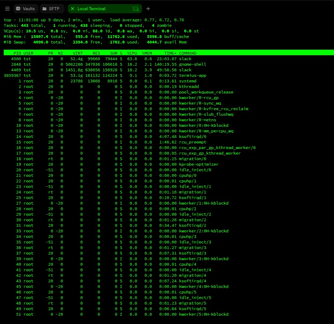 Termius terminal after the "check memory and cpu" request, showing live top output: 9 days uptime, load average 0.77, 443 tasks, 10.5% user CPU, 15.8 GB memory with 11.7 GB used, and a process list led by Slack and gnome-shell