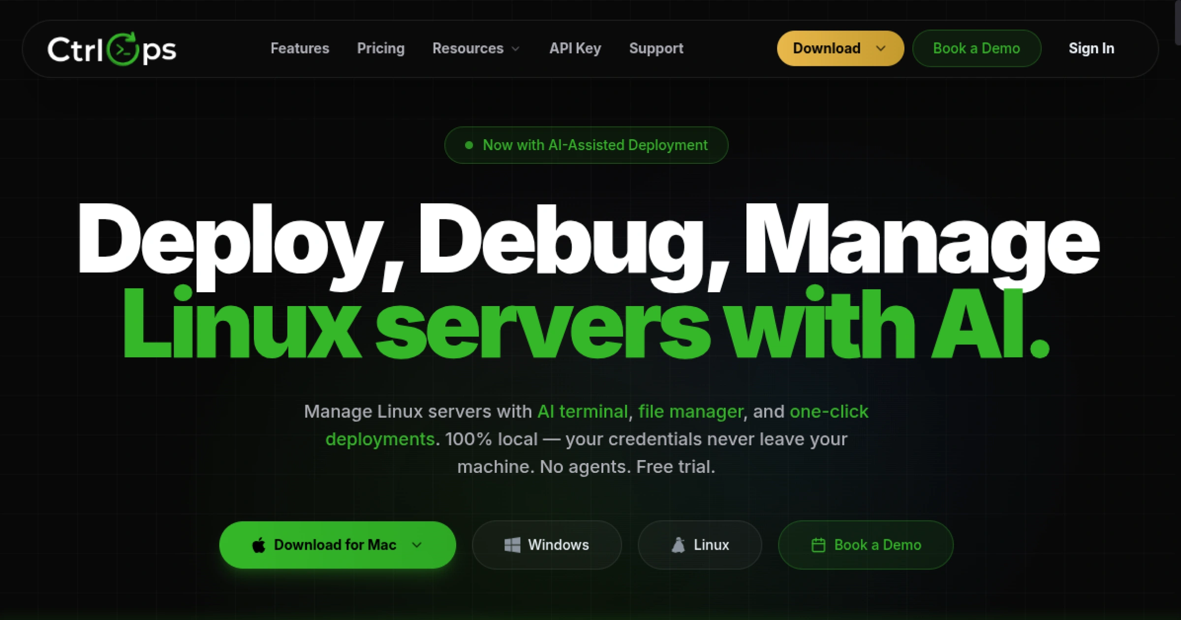CtrlOps PuTTY alternative for Windows - SSH access, GUI file manager, approval-gated AI terminal, real-time infrastructure monitoring, and one-click Node.js deployment for $7 per user per month