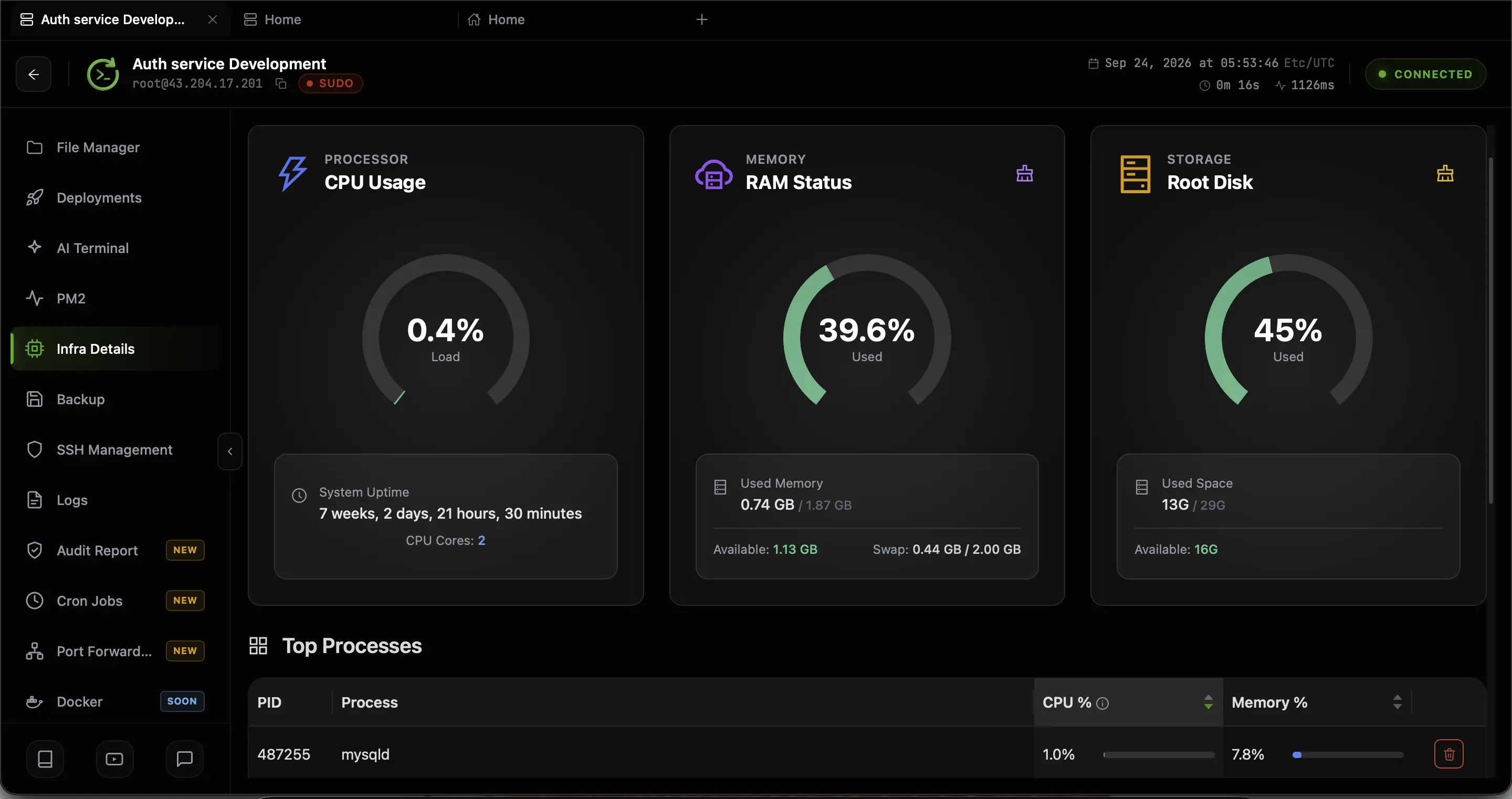 CtrlOps Infra Details dashboard with live CPU, RAM and root disk gauges above a sortable Top Processes table, read over SSH with no agent installed