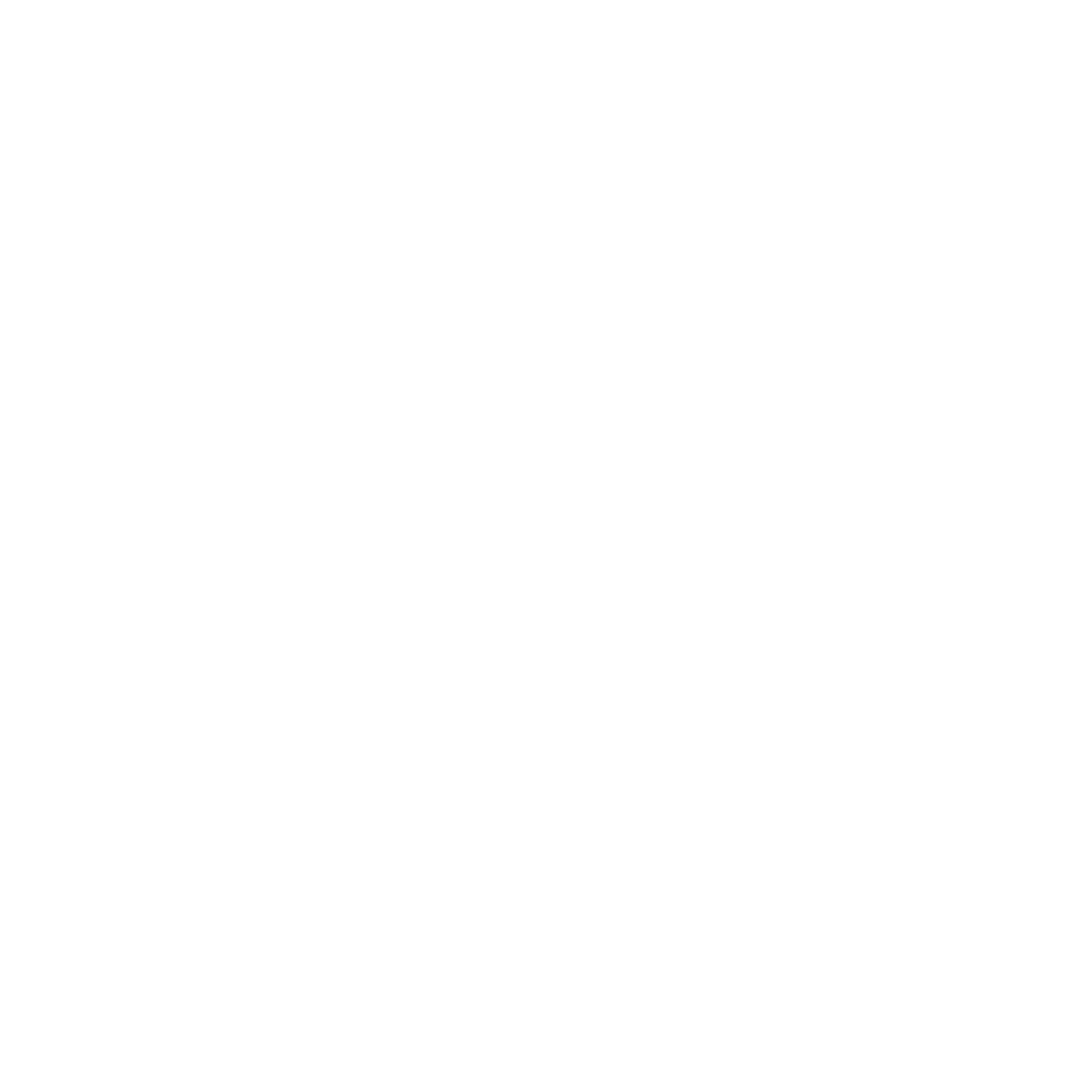 Spirex Infoways logo
