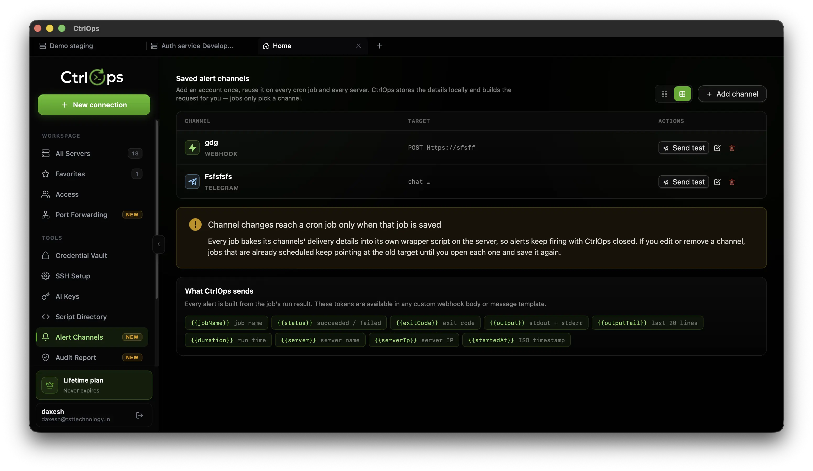 The Alert Channels tab on the CtrlOps Home screen listing a saved webhook and a saved Telegram channel with Send test, edit and delete actions, a warning that channel changes reach a cron job only when that job is saved, and the What CtrlOps sends panel listing the available message tokens