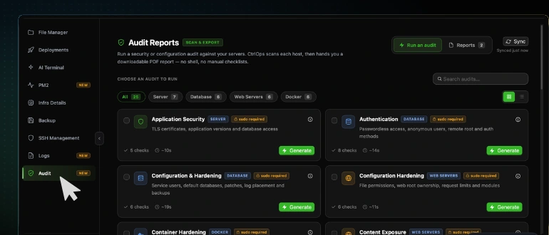 CtrlOps left sidebar on a connected server with the Audit tab highlighted below Logs