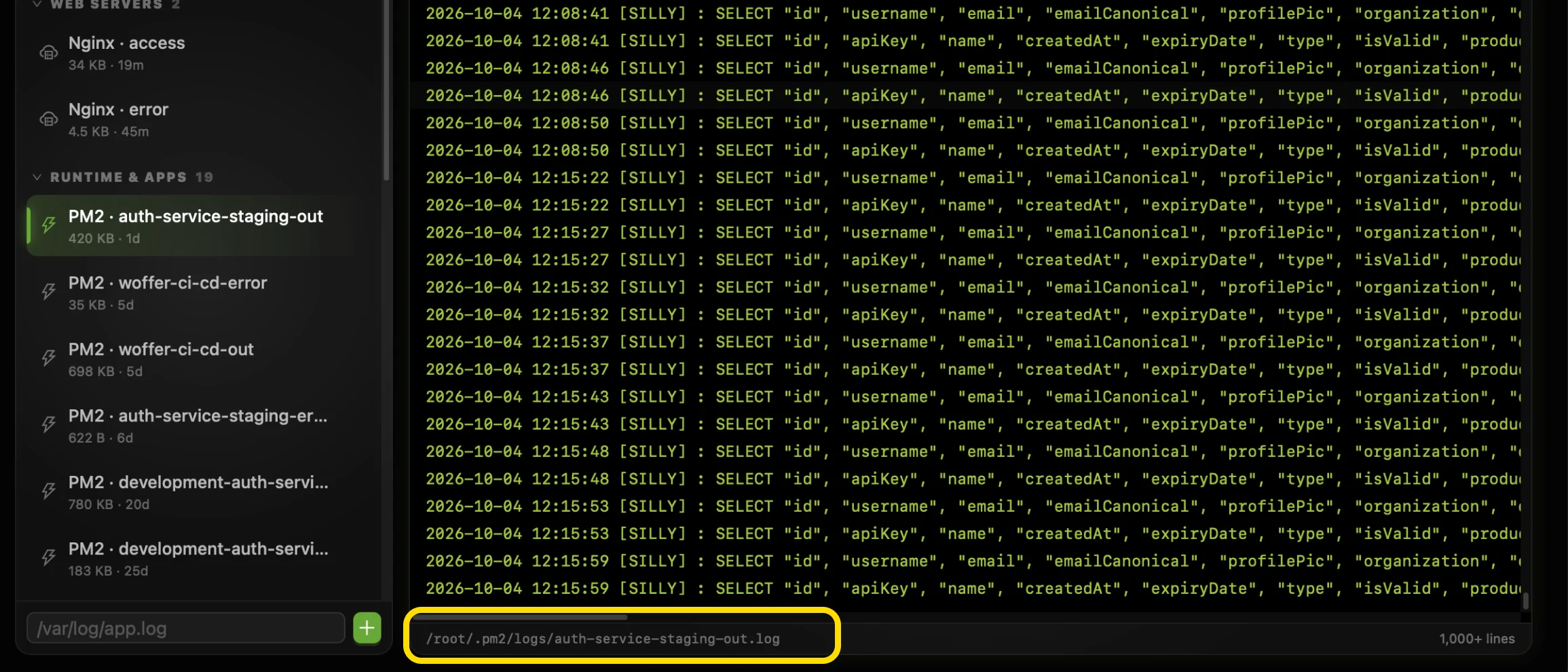 The footer of the CtrlOps log viewer highlighted, reading /root/.pm2/logs/auth-service-staging-out.log on the left and 1,000+ lines on the right