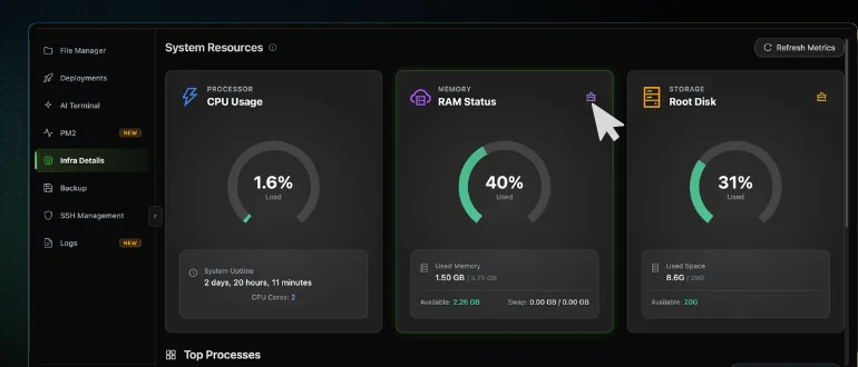 The RAM Status card in CtrlOps with the cursor on the purple trash icon in its top right corner