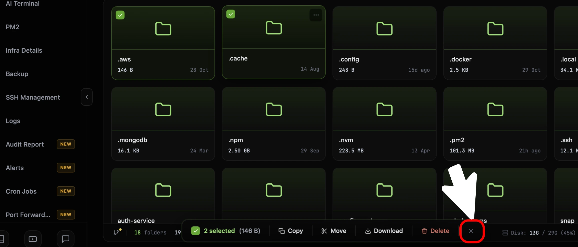 The CtrlOps File Manager selection bar with the X at its right end circled in red, next to the Delete button