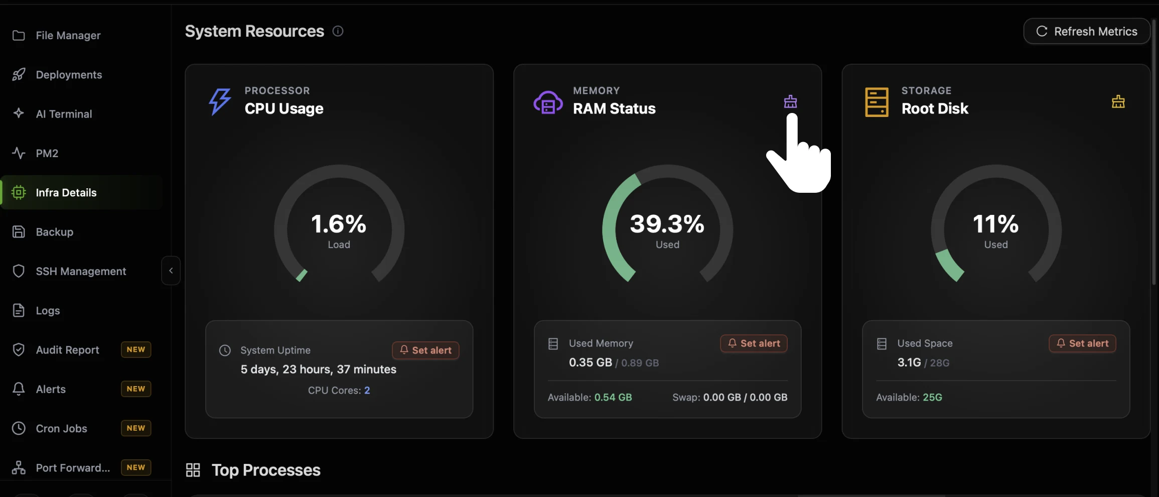 The cursor on the purple brush icon in the top right corner of the RAM Status card in CtrlOps