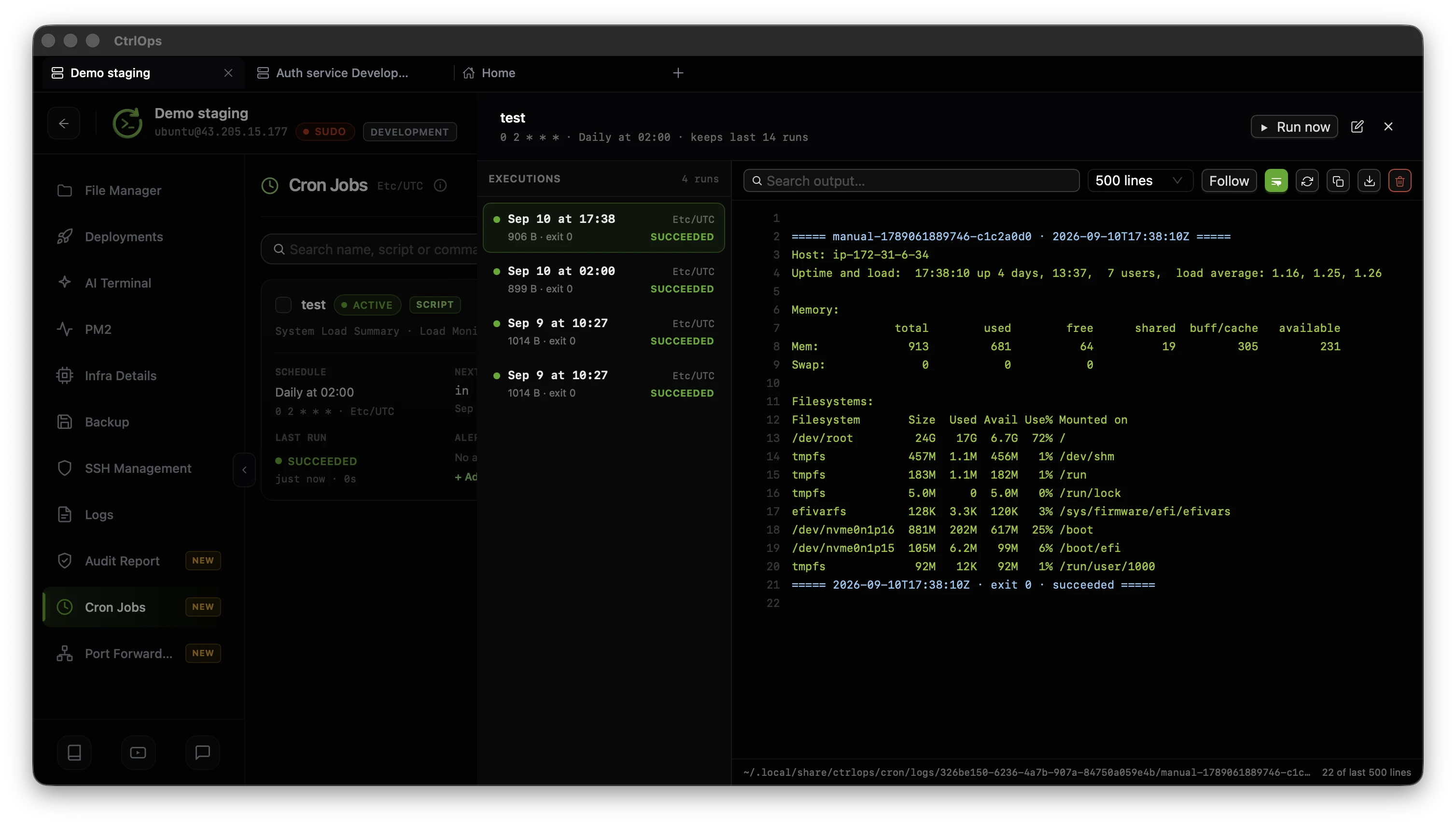 The CtrlOps cron job run history with four succeeded executions listed on the left, each with its timestamp, size and exit code, and one run's full output open beside them under a search box, a 500 line selector, a Follow button and the refresh, copy, download and delete controls