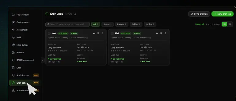 The CtrlOps sidebar with the cursor on Cron Jobs below Audit Report, and the Cron Jobs panel open beside it showing the All, Active, Paused, Failing and Native filter chips above two job cards