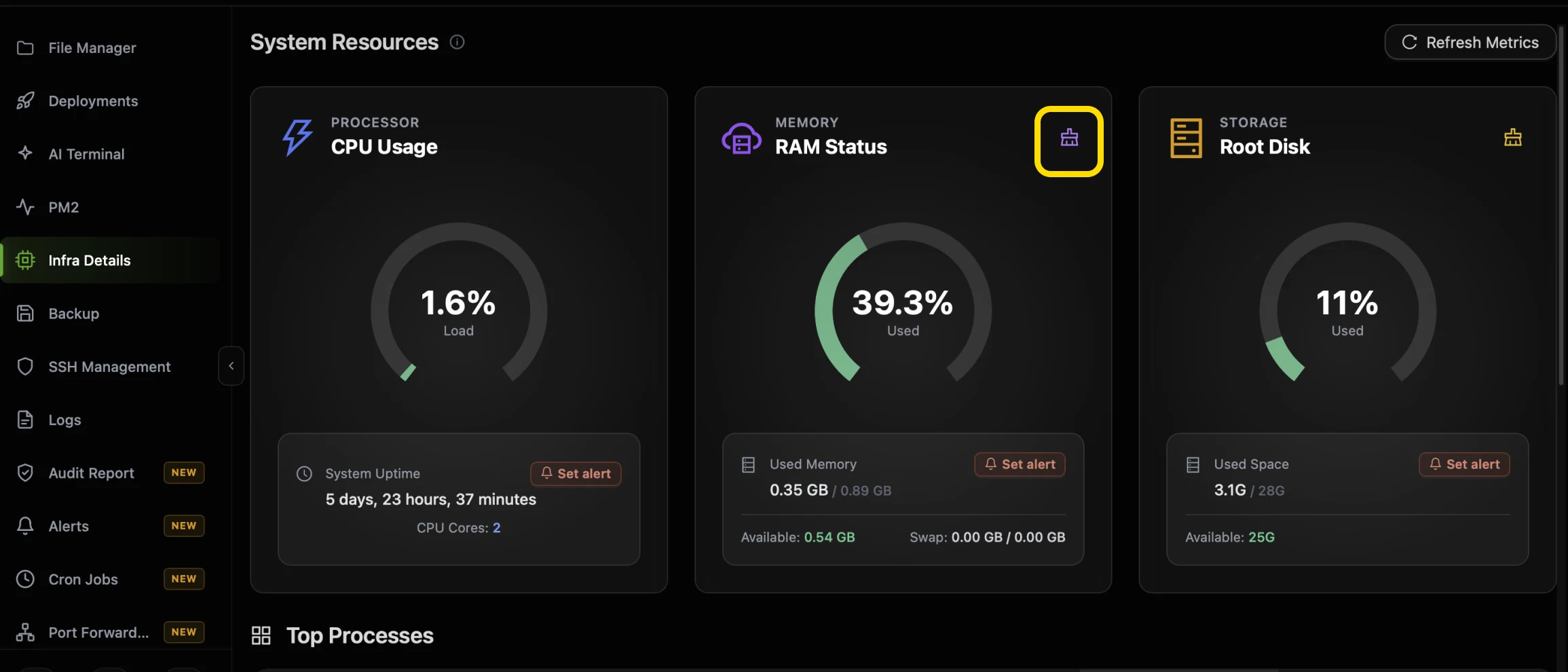 The RAM Status card in CtrlOps with the purple brush icon in its top right corner highlighted