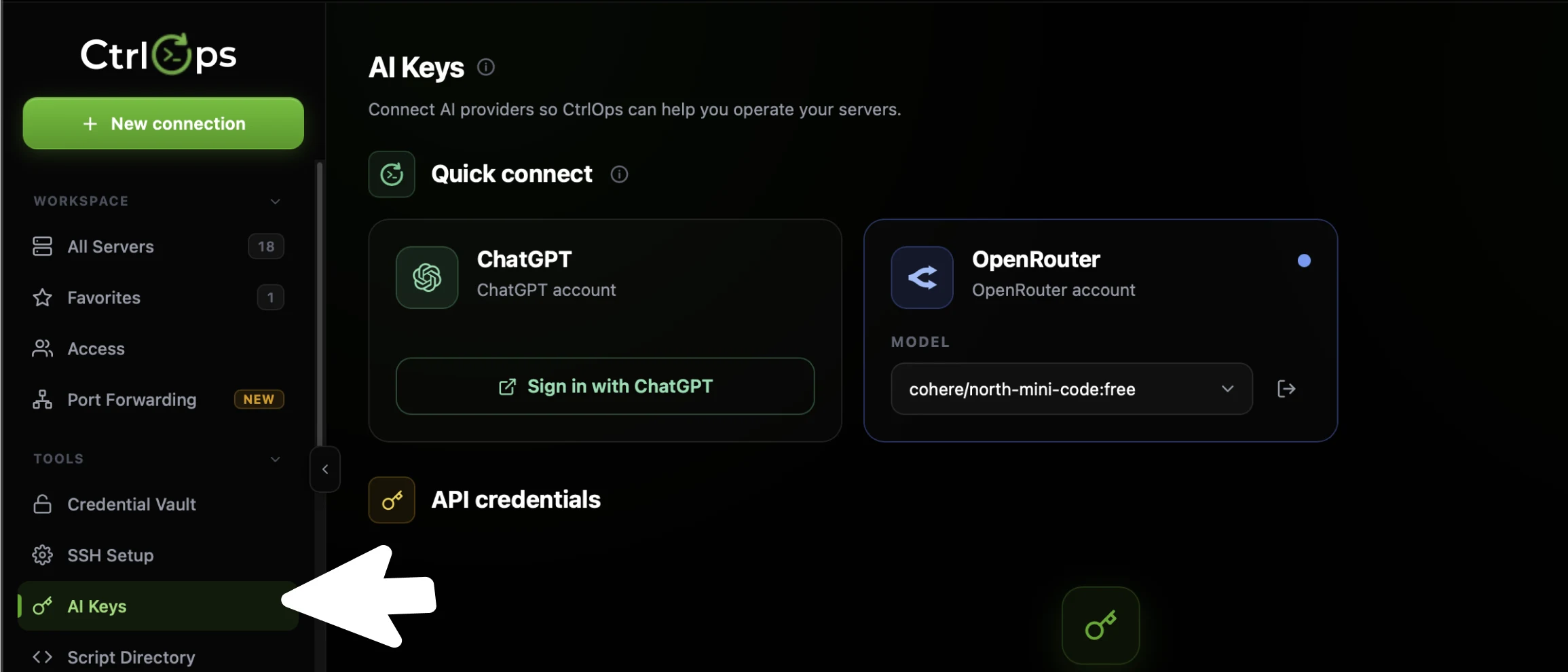 The CtrlOps left sidebar with an arrow on AI Keys under TOOLS, and the AI Keys page open beside it showing the Quick connect cards and the API credentials section