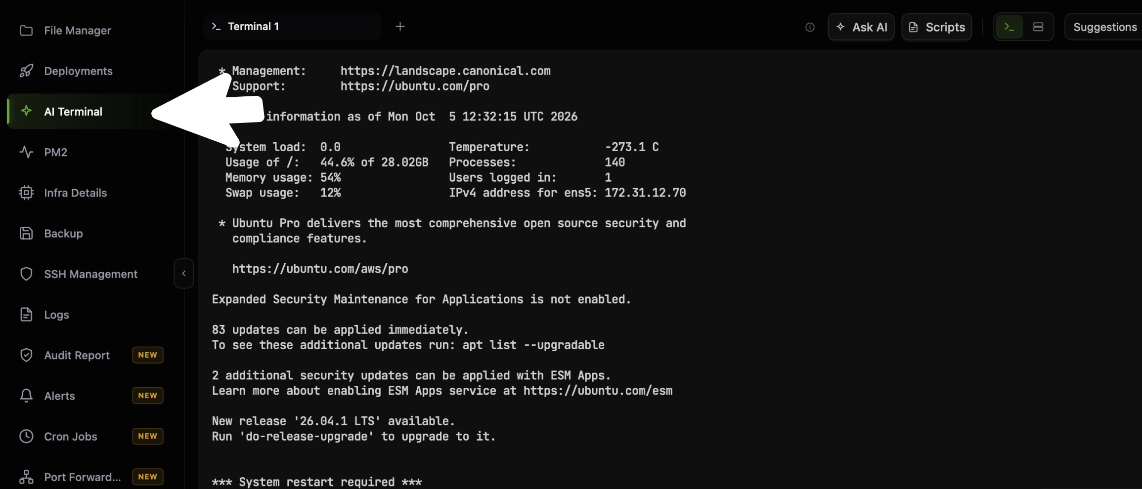 The CtrlOps server view with an arrow on AI Terminal in the left sidebar, the terminal showing the server login banner, and the tab strip with Terminal 1, the + button, Ask AI, Scripts, the two view buttons and Suggestions along the top