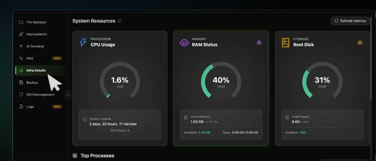 The CtrlOps System Resources view with Infra Details selected in the left sidebar and the CPU Usage, RAM Status, and Root Disk gauges side by side, with the Top Processes table starting below them