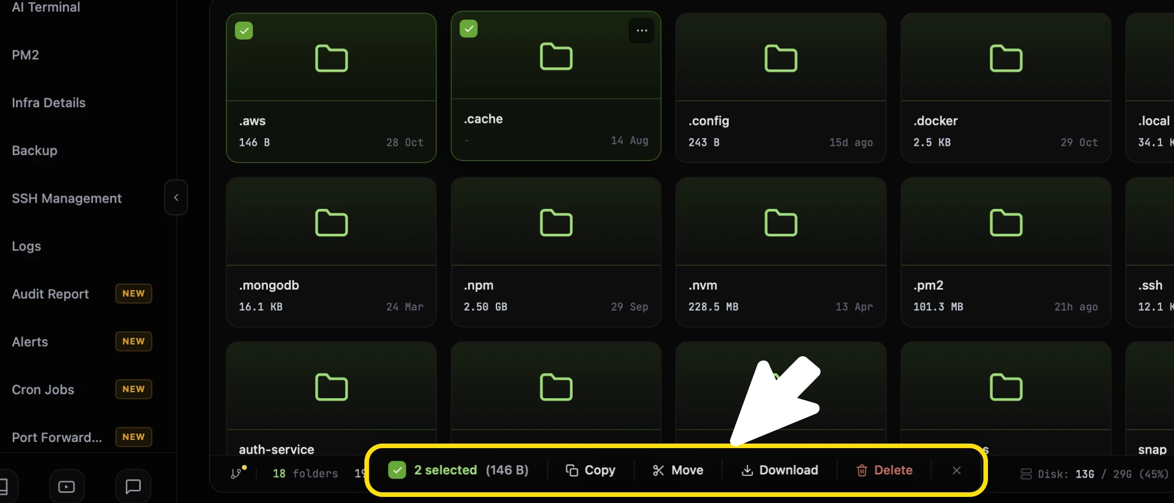 The selection bar along the bottom of the CtrlOps File Manager highlighted with an arrow, reading 2 selected (146 B) with Copy, Move, Download and Delete buttons and an X at the end