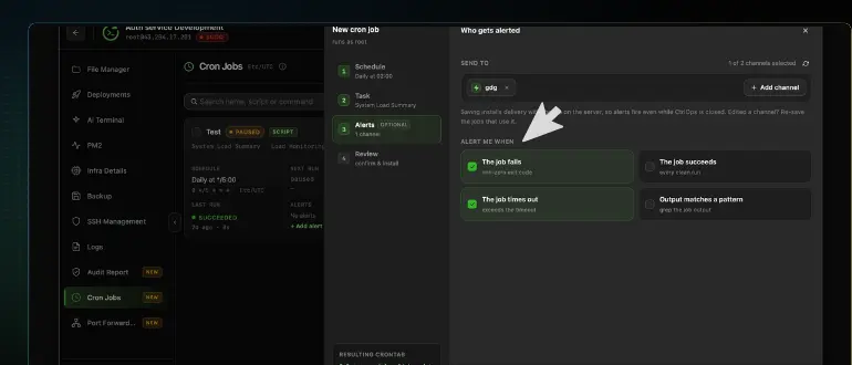 The Who gets alerted panel of the CtrlOps cron job Alerts step with an arrow pointing at Alert me when, where The job fails and The job times out are ticked in green and The job succeeds and Output matches a pattern are left unticked