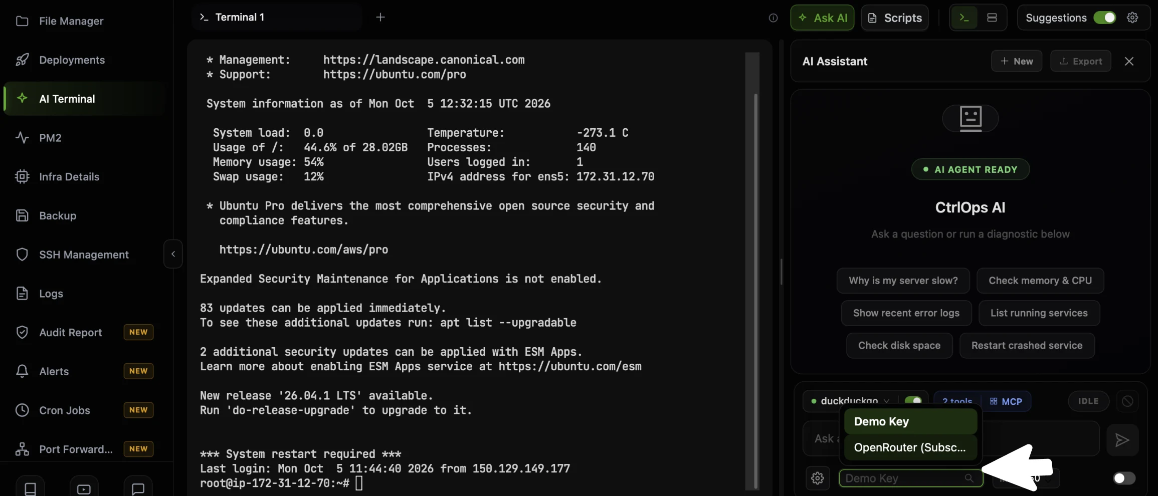 The CtrlOps AI Terminal with the AI Assistant panel open on the right, and an arrow on the key dropdown at the bottom-left of the panel, which lists a saved API credential and the connected OpenRouter account