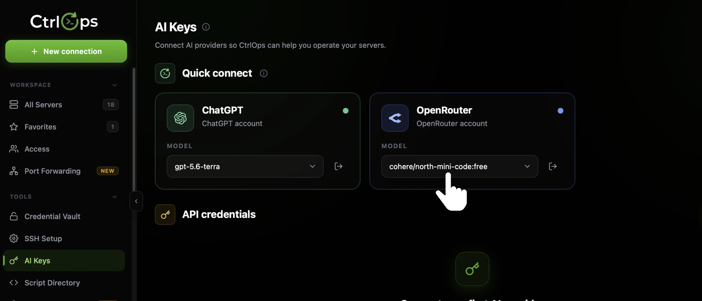 The connected OpenRouter card on the CtrlOps AI Keys page with the cursor on the MODEL dropdown, which shows an auto-selected free model ending in :free