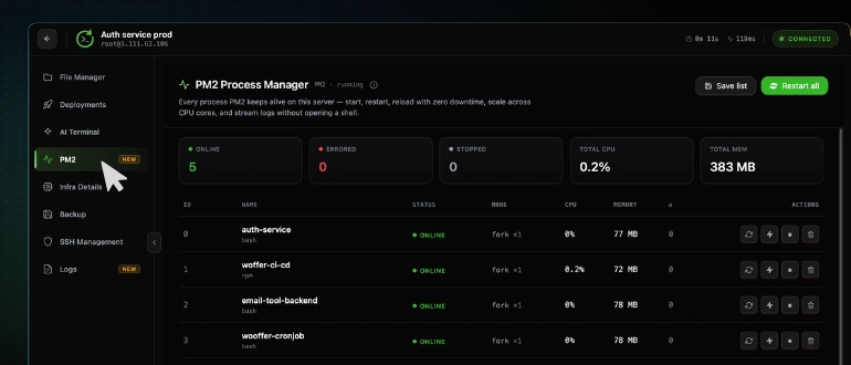 The CtrlOps PM2 Process Manager with PM2 selected in the left sidebar, the online, errored, stopped, total CPU and total memory summary cards, and the process list below them
